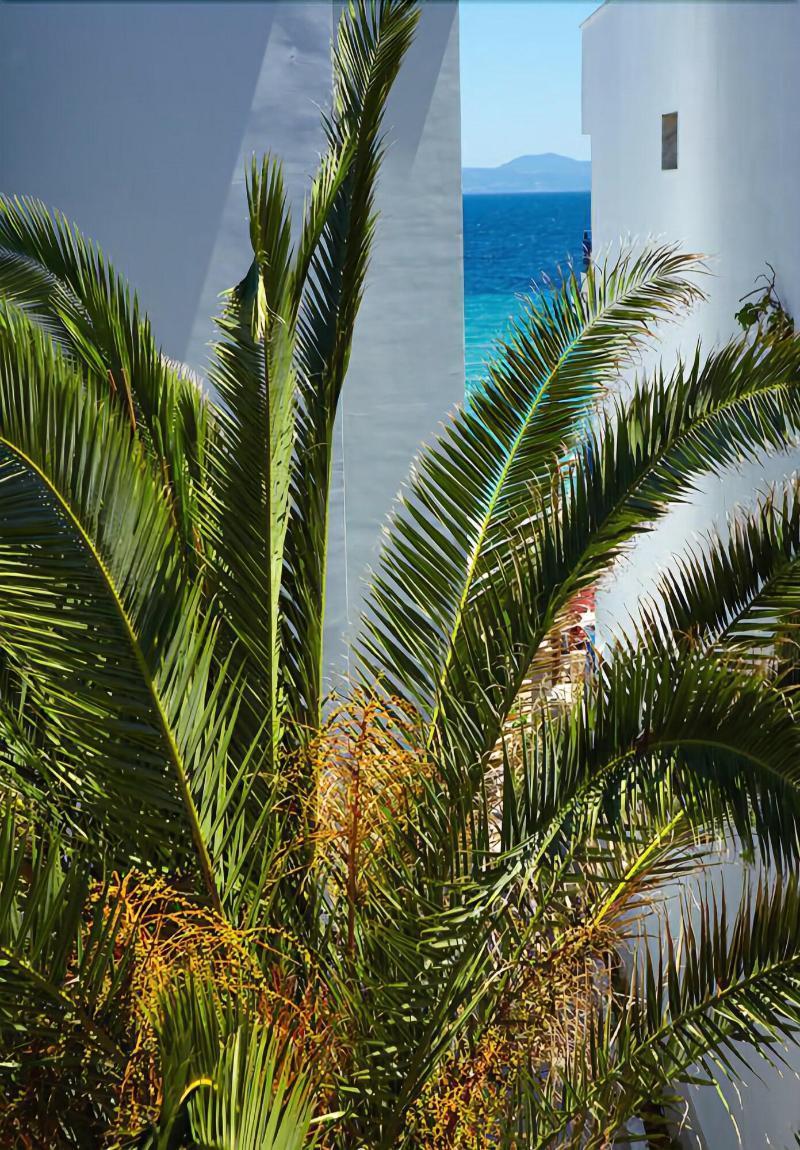 Margarita Sea Side Hotel Kallithea  외부 사진