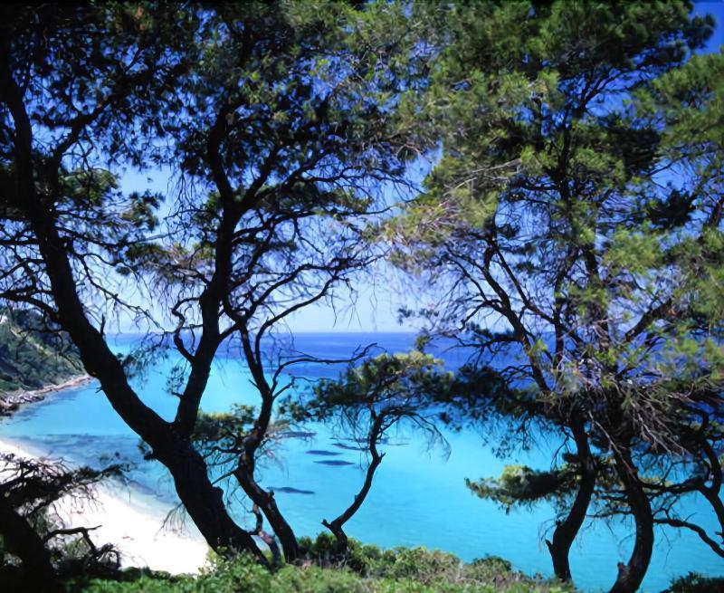 Margarita Sea Side Hotel Kallithea  외부 사진